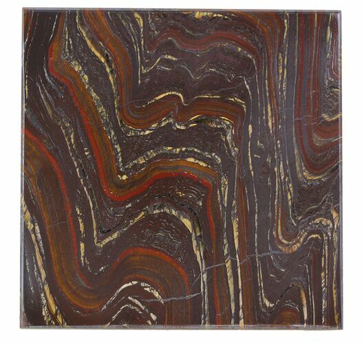 Tiger Iron Stromatolite Shower Tile - Billion Years Old #48796